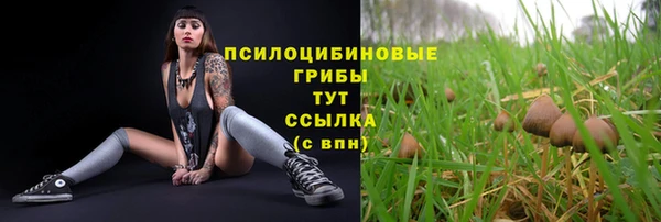 ECSTASY Дмитриев