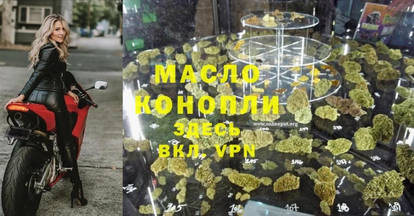ECSTASY Дмитриев